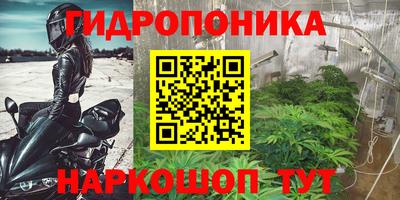 крисы Сланцы