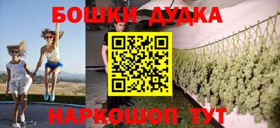 крисы Сланцы