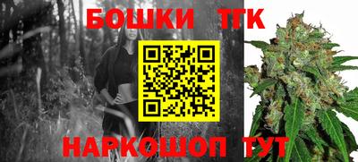 крисы Сланцы