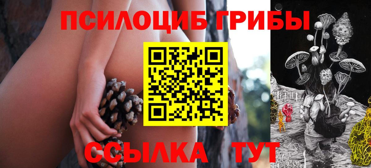 Галлюциногенные грибы GOLDEN TEACHER Нягань